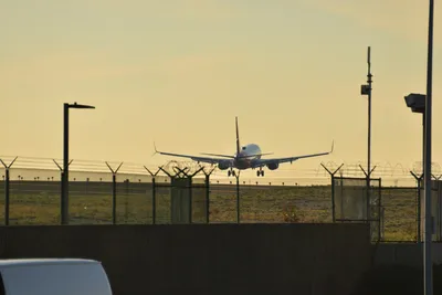 DSC_5683 (Large).JPG